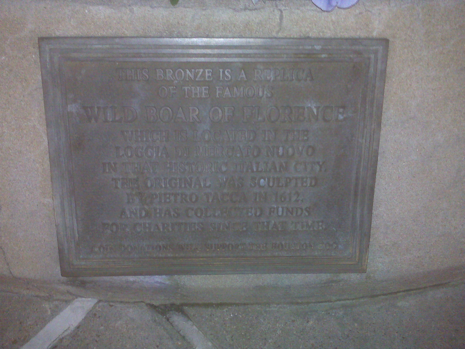 picture 10.