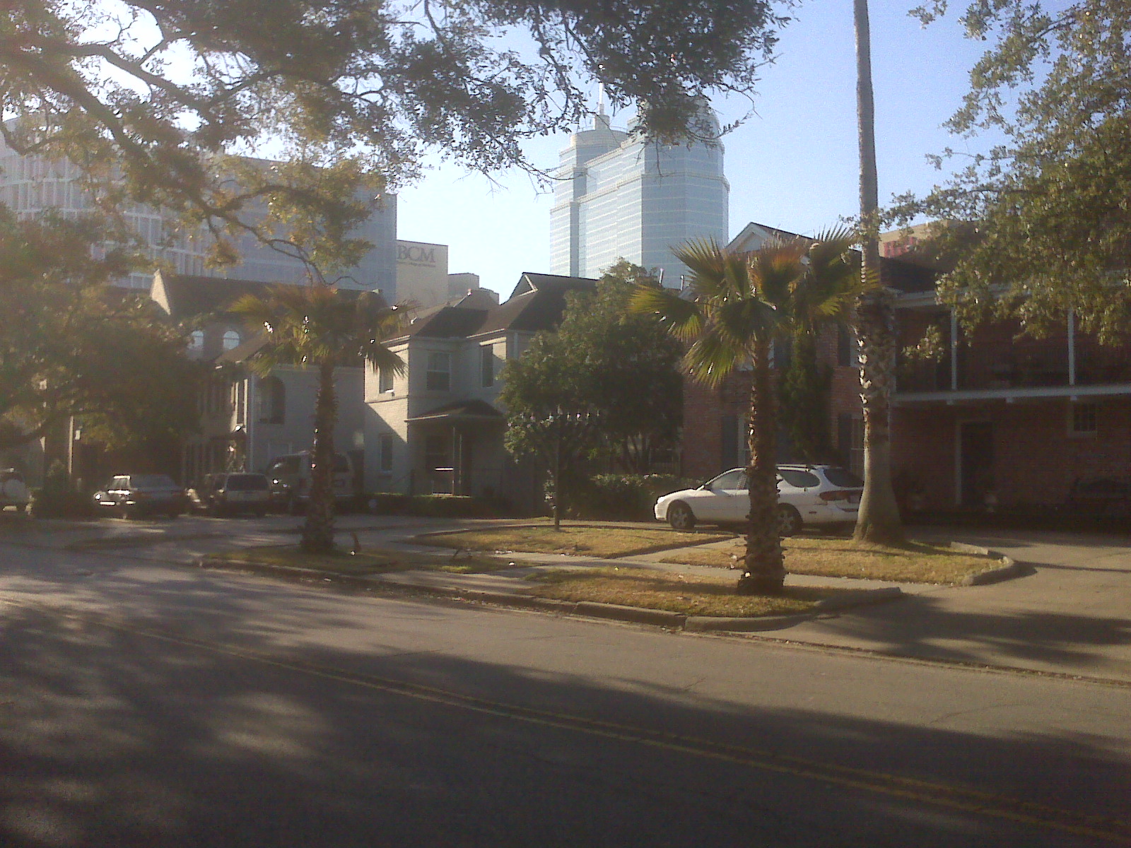 picture 115.