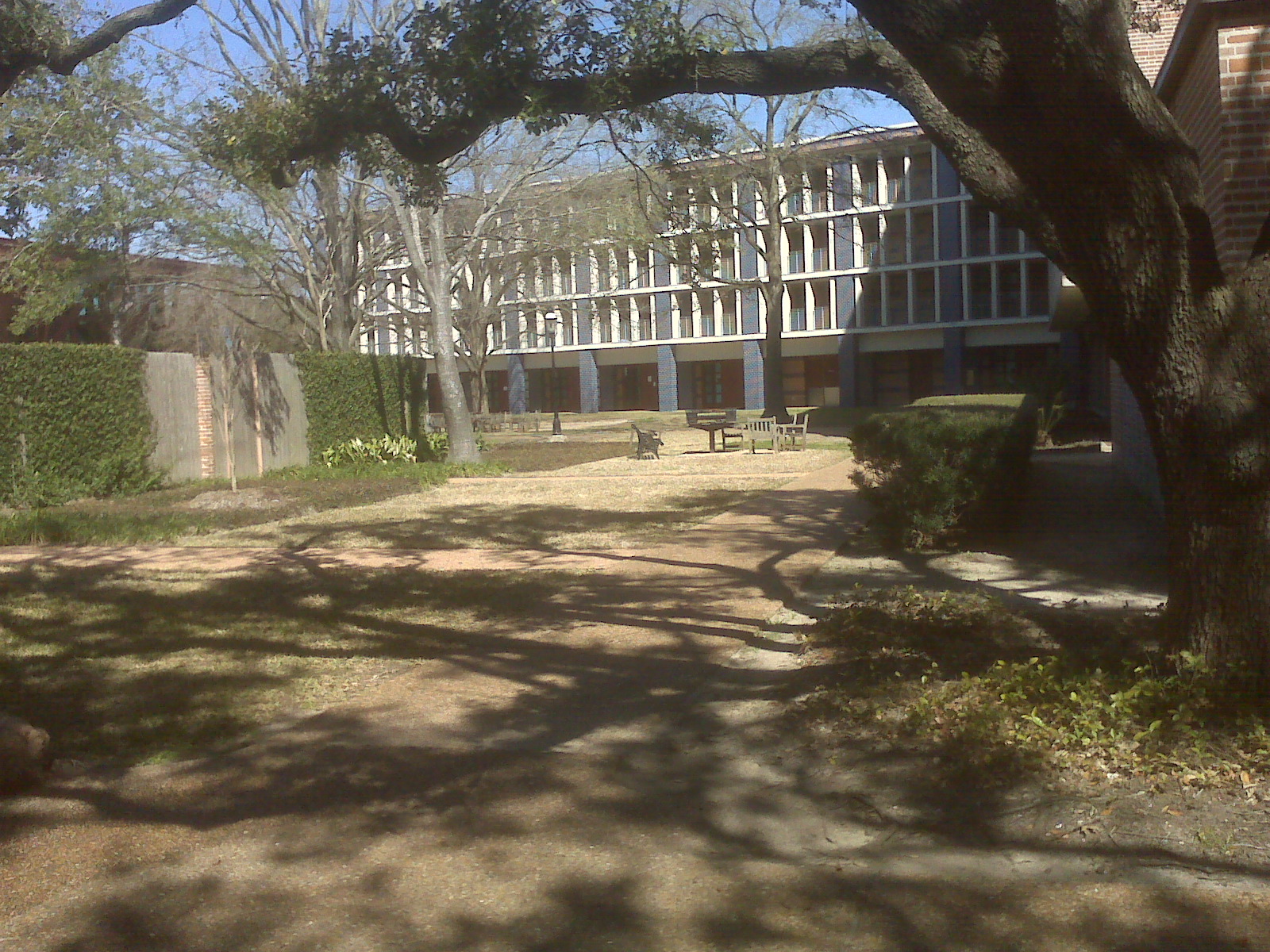 picture 120.