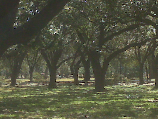 picture 123.