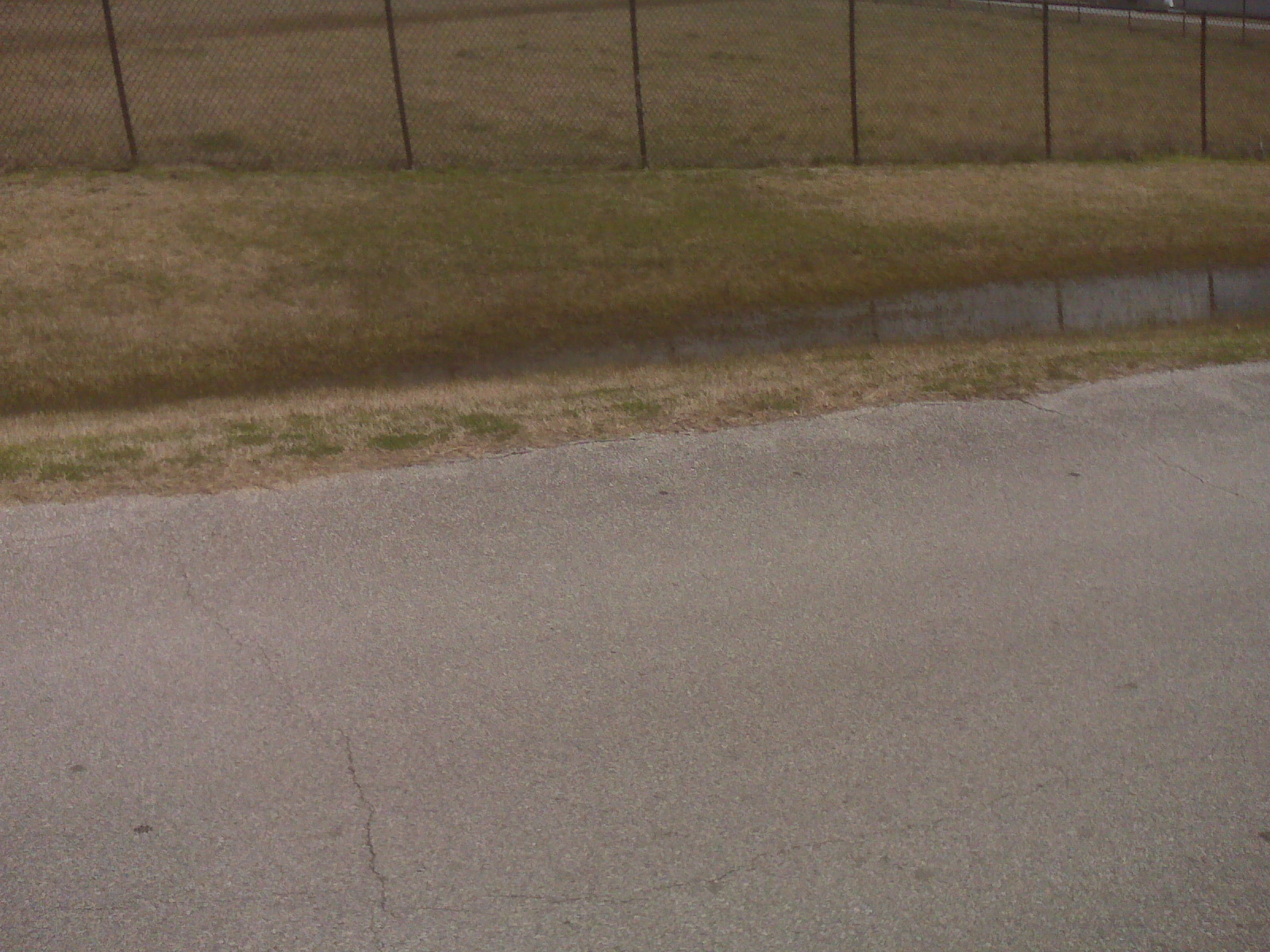 picture 13.