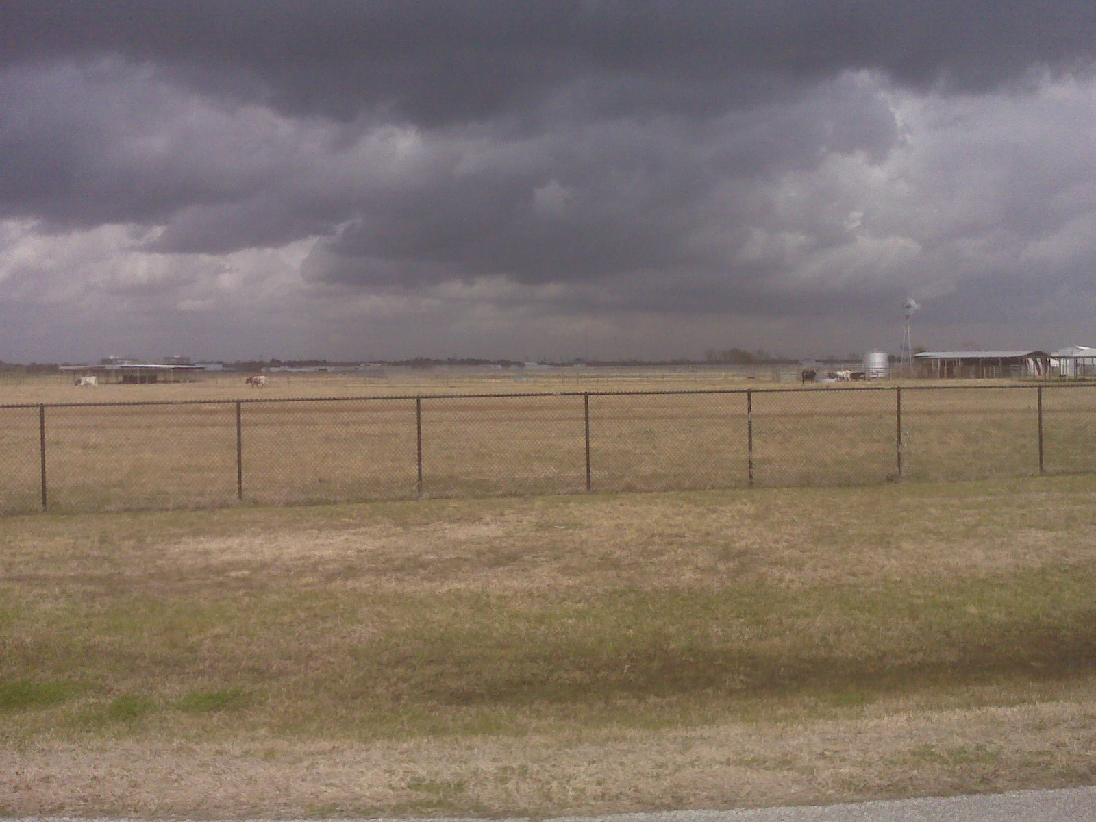 picture 14.