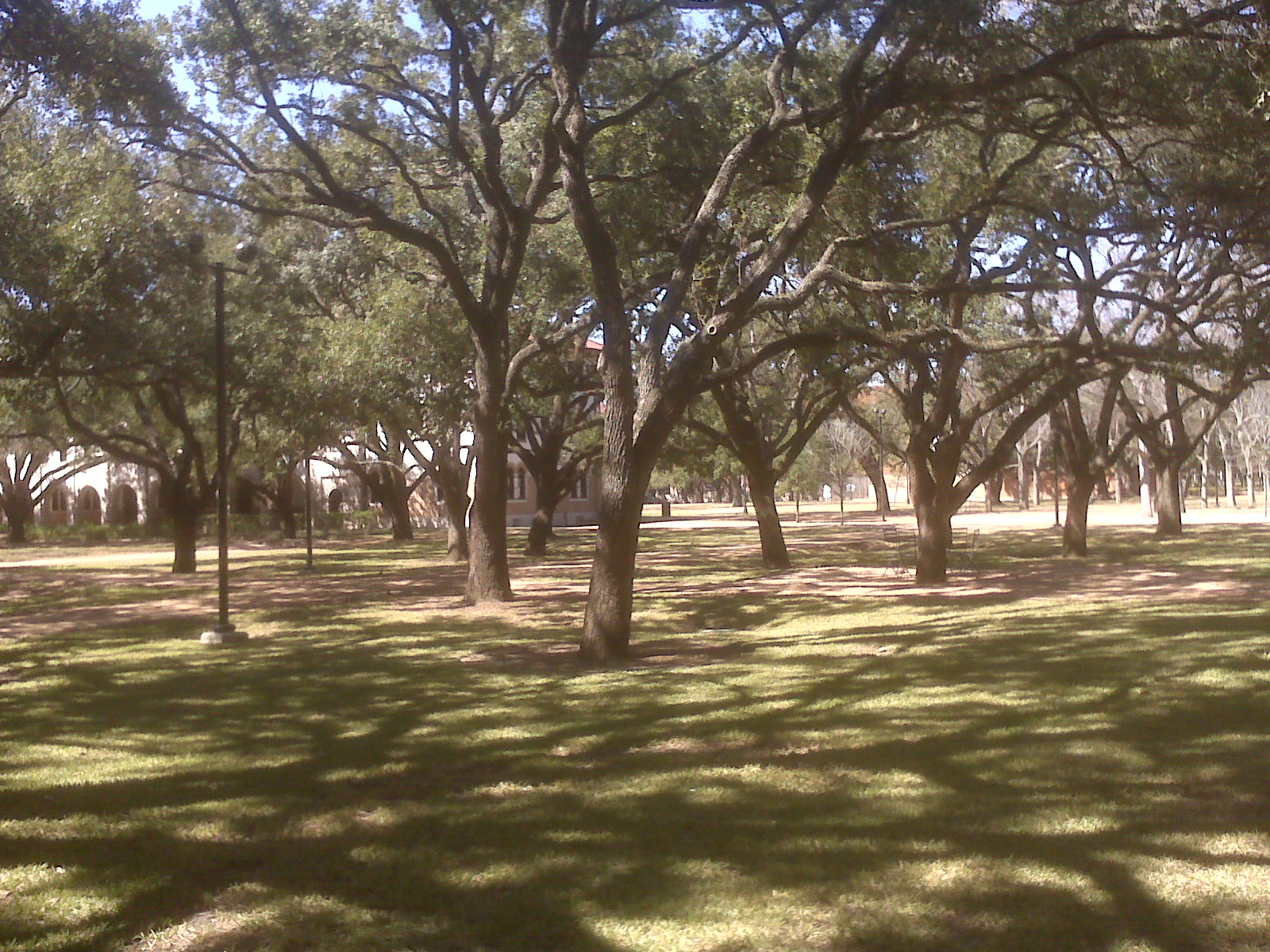picture 4.