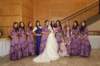 al8w1254_small.jpg
