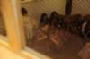 img_5288_small.jpg